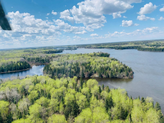 Forest View