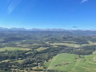 Helicopter Forest View