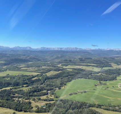 Helicopter Forest View